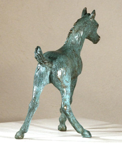 poulain pur-sang arabe