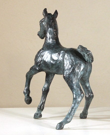 poulain pur-sang arabe