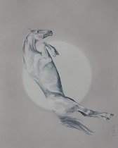 aquarelle concours hippique