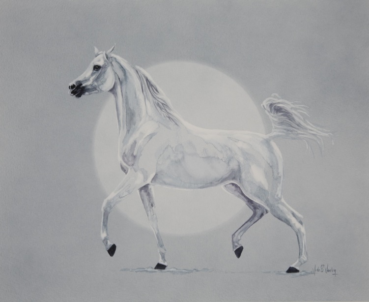 tableau pur-sang arabe