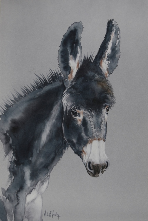 aquarelle non pyrnes