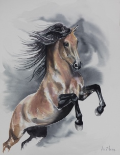 Aquarelle cheval espagnol