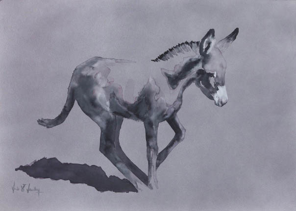 aquarelle non bondissant