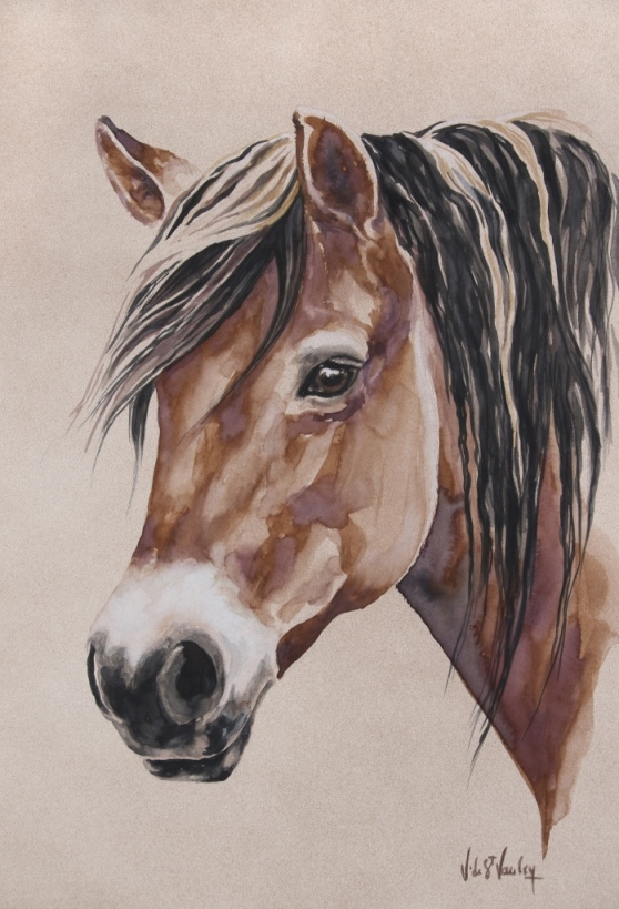 aquarelle poney fjord