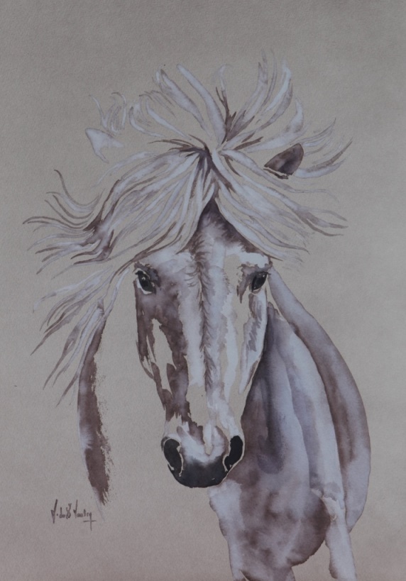 aquarelle cheval islandais